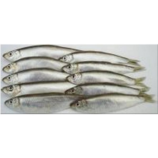 Sprats natural (12-15 per pk)